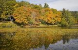 Bass Lake