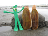 Gumby and his trophy clams