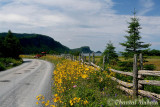 20080716_3308 Parc du Bic.jpg