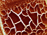 Cracks in my sweet !