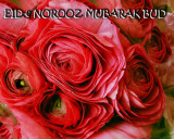 EID-e NOROOZ MUBARAK BUD 