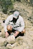  Whale Bones in High Mountains.