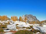 Prussik Peak And Golden Larch
