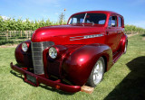 Cruiser In The Vineyard