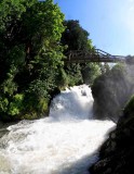 Tumwater Falls ( Fisheye ) 