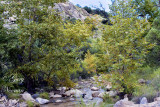 carr stream and cliff face 090720080110.jpg