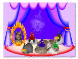 The Welch Circus - Cricket, Cwem, Clancy, Vanessa (Da Diva), Cassidy & Valentine