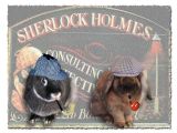 Zoe  - Sherlock Holmes & Zin - Dr. Watson