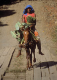 Lone horseman, Wainibuka River, Viti Levu