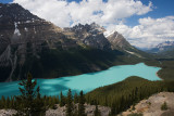 2008-7-17 6110 Peyto Lake.jpg