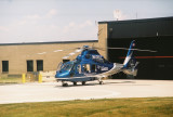 Life Lion N600LL.jpg