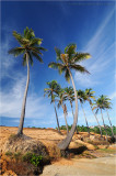 Coqueiros