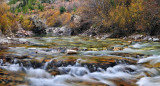Crystal River - Angel Falls 1