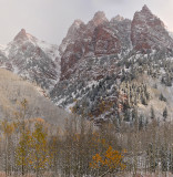 Snowmass Area - Snowy Fall Color 10