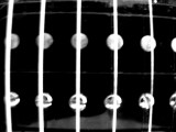 SM-Electric Guitar-2.JPG