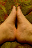 Feet SP