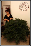 Bending and fluffing every single stem on a 9ft Christmas tree was quite an ordeal!