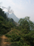 The jungle track, heading back towards village