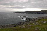 Cliffs, Quirpon Island-080106-Newfoundland, Canada-0140.jpg