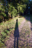 Im just a shadow