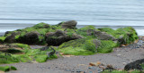 DSC_8004.jpg