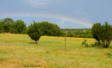 rainbow over wildflowers