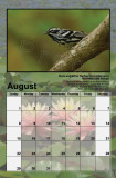 2010 Calendar Sample- August