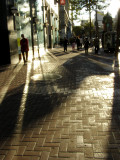 November 15, 2009