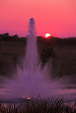 Fountain Sunset