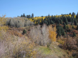 Colorado_2008 086a.JPG