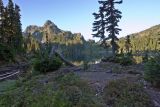 Upper Lena Lake area