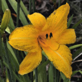 PREVIOUS IMAGE, WITH AN ARTISTIC FLAIR