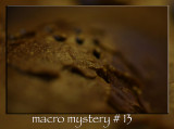Macro Mystery # 13