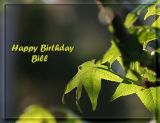 Happy Birthday Bill.~14th October 2006
