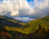 West Prong Little Pigeon River
