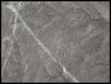 Nasca lines - dog