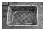 Fish in basket, Kota Kinabalu, Malaysia