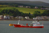 Gripfisk