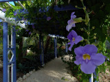 P3302957SRGB.jpg