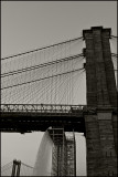 Brooklyn Bridge, Falls and Manhattan Bridge
