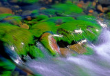 (SED 13) Algae Covered Rocks, Oak Creek, Sedona, AZ