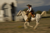 Speed/Horse Power