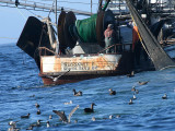 Shrimping boat, Coos Bay, Oregon