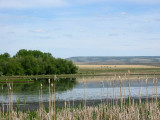 Benson Pond, Malheur NWR, Oregon