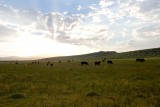 Long Valley sunset