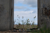 aldeburgh