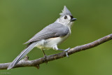 7B7D5397.jpg