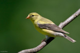 7B7D5421.jpg