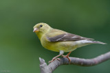 7B7D5590.jpg