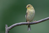 7B7D5489.jpg